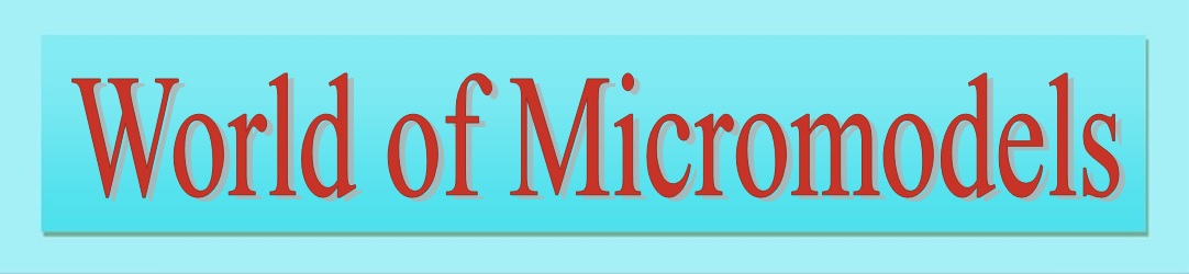 logo World of Micromodels